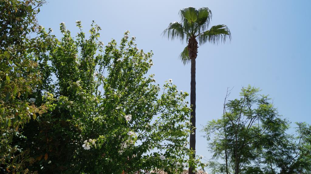Villa Casa Gema Selva  Zimmer foto